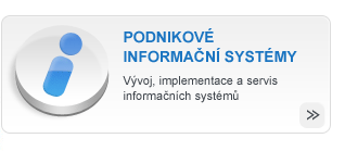 Podnikové informační systémy - Dodávka a implementace informačního systému na míru